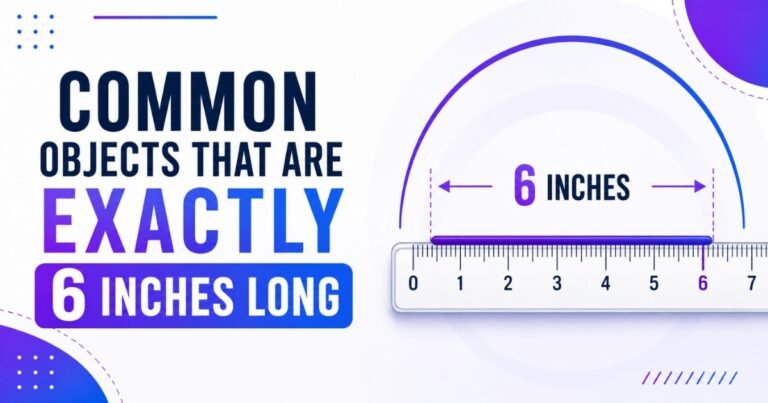 6 Inches