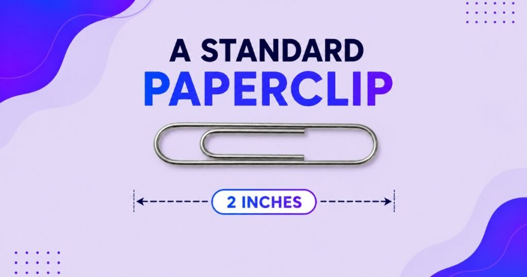 A Standard Paperclip