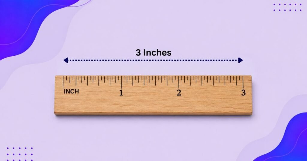 What Does 3 Inches Look Like?