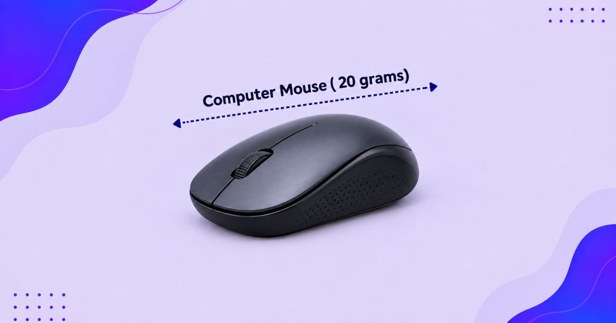 Computer Mouse