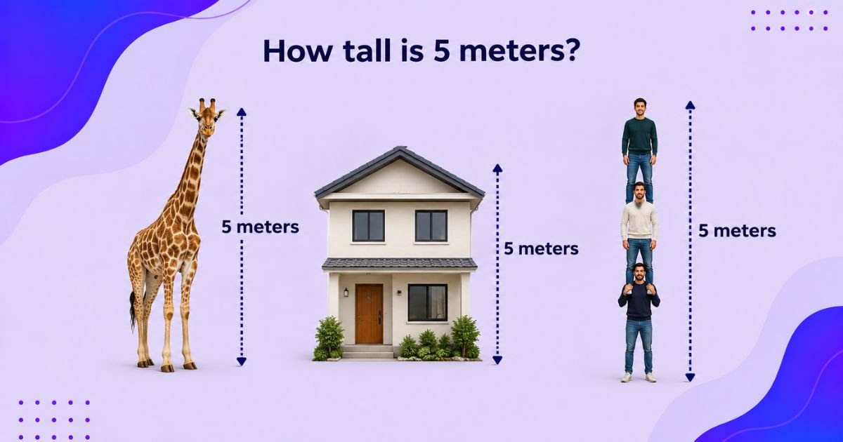 How Tall Is 5 Meters